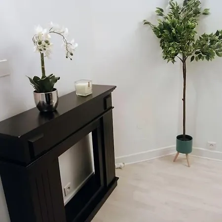 Charming Bright Parisian Flat