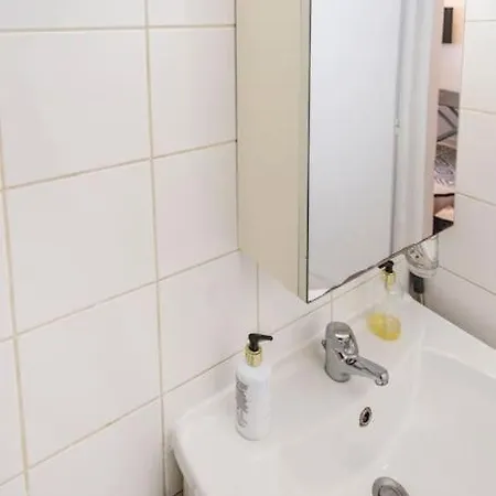 Charming Bright Parisian Flat Appartement Paris